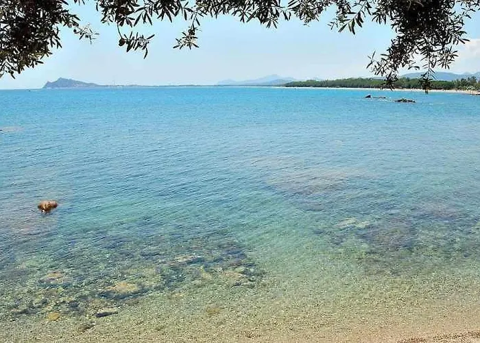 Sa Mariposa Holiday Home Daire